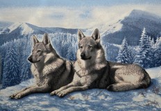 Волки на снегу 