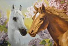 Пара лошадей