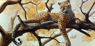 Саванна Леопард       